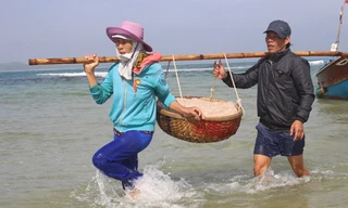 Giáp Tết ngư dân Quảng Ngãi trúng đậm 'lộc biển'