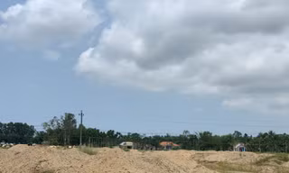 Ruộng lúa của dân bị DN san lấp trái phép - ảnh N.N 