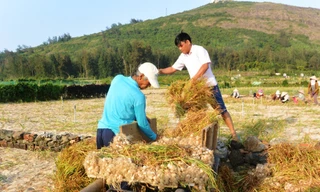 Đề nghị Bộ Công an vào cuộc xử lý facebooker tung 'tin vịt' về tỏi Lý Sơn