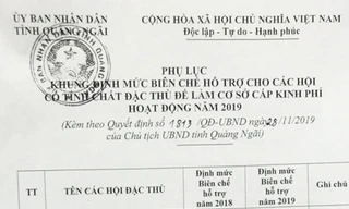 Danh sách các hội đặc thù cấp tỉnh. Ảnh Nguyễn Ngọc