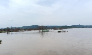 Hai anh em đi bắt ốc, tử vong dưới hồ thủy lợi Sông Lũy