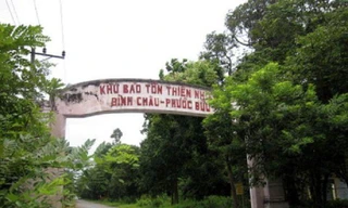 Khu bảo tồn thiên nhiên Bình Châu-Phước Bửu, huyện Xuyên Mộc, tỉnh Bà Rịa-Vũng Tàu. Ảnh: Internet.