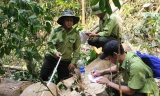 Hàng loạt kiểm lâm xin nghỉ việc