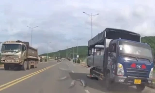 Tạm giữ giấy phép của lái xe tải chạy như 'xiếc' trên quốc lộ 56