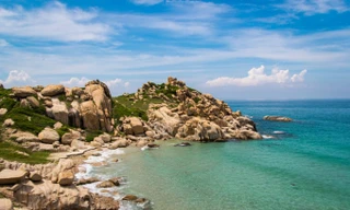 Khu bảo tồn biển Hòn Cau sẽ ra sao khi điều chỉnh chức năng?