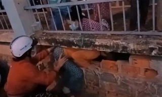 Bình Thuận nói gì vụ 500 người chui lỗ, vượt rào trốn khỏi Bệnh viện Đa khoa tỉnh?