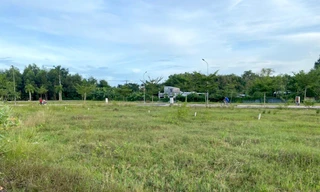 Đề xuất chuyển đất trồng lúa để thực hiện loạt dự án BĐS ở TPHCM