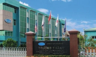 Lợi nhuận doanh nghiệp 'bốc hơi' hàng trăm tỷ sau kiểm toán