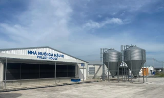 Trại gà Việt Nam đầu tiên đạt tiêu chuẩn xanh thế giới