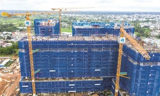 Tập đoàn xây dựng Hòa Bình thua lỗ 