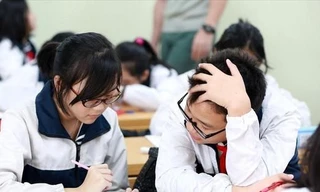 Điểm chuẩn trường ĐH Nha Trang từ 15-24 điểm