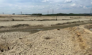 Tận thấy loạt hồ, đập thủy lợi, sông suối ở Bình Thuận cạn trơ đáy