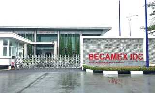 Chốt ngày đấu giá cổ phần lớn nhất lịch sử thị trường chứng khoán