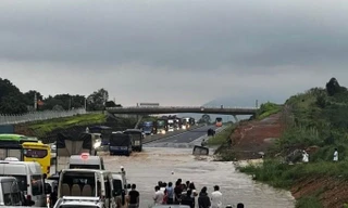 Hối hả chống ngập cho cao tốc Phan Thiết - Dầu Giây