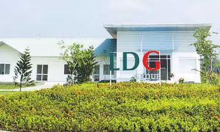 Kiểm toán nghi ngờ khả năng hoạt động liên tục của LDG