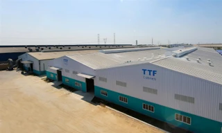 Nhiều doanh nghiệp bị nhắc nhở