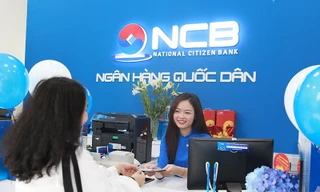 Ngân hàng, doanh nghiệp lớn phát hành hàng trăm triệu cổ phiếu