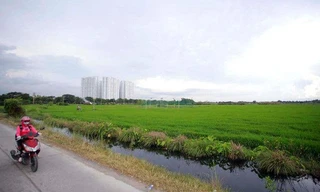 Sau 1 tháng, TPHCM lại điều chỉnh giá đất nông nghiệp do chưa phù hợp