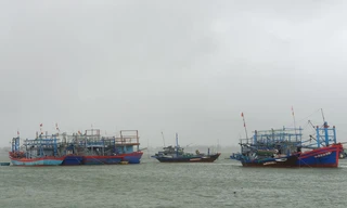 1 người tử vong, gần chục tàu thuyền bị chìm do bão số 9