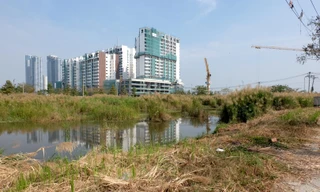 Hai công ty bỏ cọc đất Thủ Thiêm: Khi nào đấu giá lại?