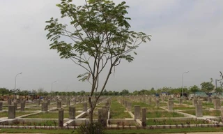 116 dự án bất động sản kêu cứu tại TPHCM vẫn nằm bất động