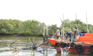 Bà Rịa-Vũng Tàu chi tiền tỷ giải tỏa bè nuôi thủy sản trái phép