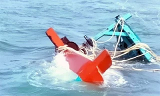 Tàu hàng đâm chìm tàu cá rồi bỏ chạy, 9 ngư dân rơi xuống biển