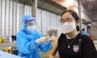 Bà Rịa-Vũng Tàu thêm 36 ca nghi mắc COVID-19 mới, 30 ca ngoài cộng đồng