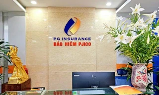 Bảo hiểm PJICO có tổng giám đốc mới