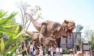 Du lịch Bình Thuận, Bà Rịa - Vũng Tàu bội thu dịp Tết