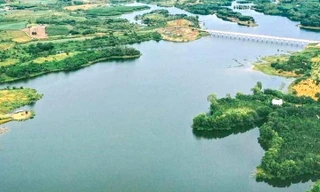 Anh bơi ra cứu em trai đuối nước, cả 2 tử vong