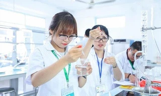 Ngành học nào thu hút thí sinh nhiều nhất trong mùa tuyển sinh 2021?