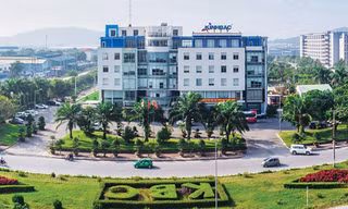 Nữ tổng giám đốc lương cao nhất Việt Nam là ai?