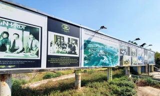 Thanh tra Chính phủ đã sửa nội dung gì tại kết luận thanh tra dự án Đại Ninh?