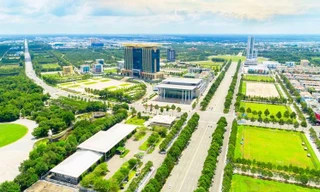 Thấy gì ở nơi 'đại bàng' làm tổ? 