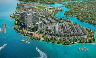 M&A bất động sản năm 2025: Thị trường sẽ nở hoa