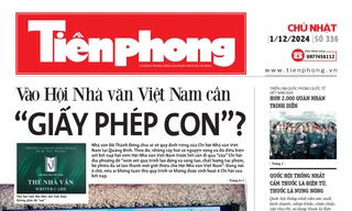 Tiền Phong 336/2024