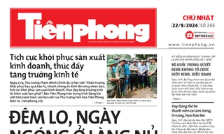 Tiền Phong số 266/2024