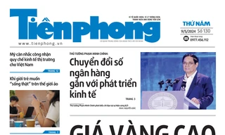 Tiền Phong số 130/2024