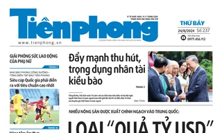 Tiền Phong phong số 237/2024