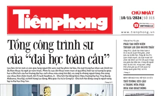 Tiền Phong số 315/2024