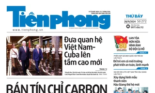 Tiền Phong 272/2024
