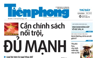 Tiền Phong số 342/2024