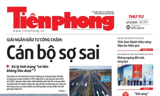 Tiền Phong số 311/2024