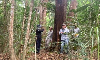 Một giám đốc bảo vệ rừng xin từ chức vì cho rằng bị hạ uy tín 