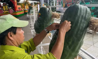 Hàng trăm loại trái cây độc lạ ở lễ hội