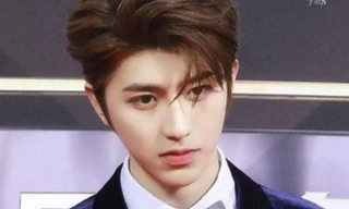 Từ ngôi sao hạng A đến gã trai hư gây sốc