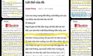 Bị lên án đạo văn, nữ tác giả Duyên Phùng thừa nhận bị nhiễm văn