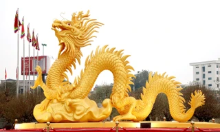 Muôn kiểu linh vật rồng 2024: Rồng còi xương, rồng không ăn ảnh