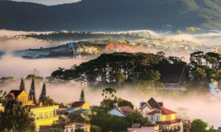 Phát triển Lâm Đồng trở thành ‘thiên đường xanh’